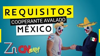 ✈️🤝Requisitos de la VISA quotCOOPERANTE AVALADOquot por el Gobierno de MÉXICO🤝🤠 [upl. by Demodena]