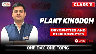 Bryophytes and Pteridophytes  Plant Kingdom  class 11  Biology  One Day One Topic [upl. by Eeliab]