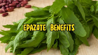 Unveiling the Health Benefits of Epazote Natures Secret Super Herb [upl. by Ahsilram]