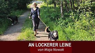 AN LOCKERER LEINE  Wilma  von Maja Nowak  Teil 4 [upl. by Ynohtona]