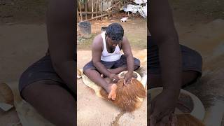 Traditional South Indian Music Instrument Parai making from Animal Hide [upl. by Peter]