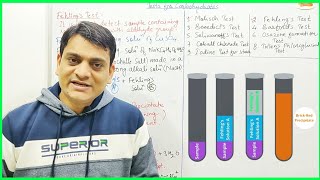Part 2 FehlingsTest with Reactions  Test for Carbohydrates [upl. by Okier]