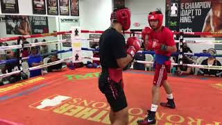 Ryan Garcia vs Rolando Romero sparring highlights [upl. by Ed]