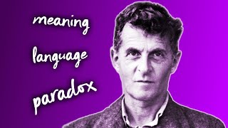 Wittgenstein and the Rule Following Paradox [upl. by Aridan372]