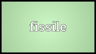 Fissile Meaning [upl. by Acinomad]