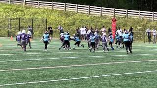 Pikesville Wildscats vs Howard county jags 8u American [upl. by Arst680]