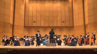 Weber  Clarinet Concert No1 1st movement [upl. by Jumbala]