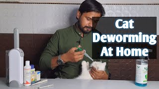 How to Deworm a cat at home  बिल्ली की डीवॉर्मिंग घर मै केसे करे [upl. by Arick208]