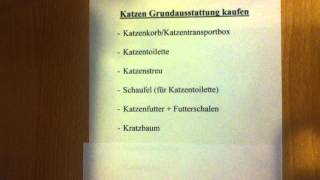 Katzen Grundausstattung kaufen  alles für die Katze [upl. by Rox]