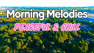 Peaceful Morning Classic  Chill Rhumba amp Cha Cha Cha Instrumental Melodies  Relaxing Morning Vibes [upl. by Chao]