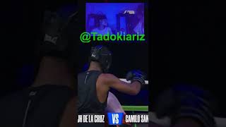 REACCIONANDO A LA PELEA DE JH VS CAMILO SANCHEZ  tadokiariz de Twitch [upl. by Dwaine928]