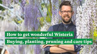 How to get wonderful Wisteria Buying planting pruning and care tips  The RHS [upl. by Shayna872]