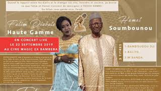 Fatim Diabaté Haute Gamme et Hamet Soumounou Tadou Hanne Torodo 2 [upl. by Thevenot]