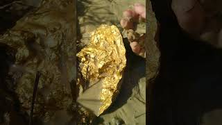 Giant gold found goldhunter golddiscovery [upl. by Hillari873]