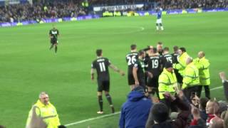 Stoke City  Marco Arnautovic Goal Celebration vs Everton [upl. by Aivatnuhs254]