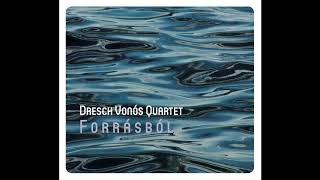 Dresch Vonós Quartet  Legényes [upl. by Bowes]