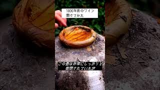 1000年前のワイン開けてみた [upl. by Hawley]