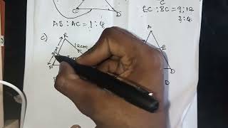 ECZ Similarity and Congruency Grade 9 Finding ratios [upl. by Weinrich]