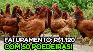 100 GALINHAS POEDEIRAS GERAM QUANTO DE LUCRO💰 Forma certa de começar [upl. by Gerson]