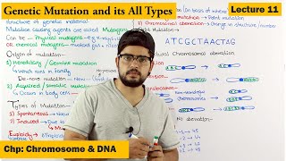 Mutation and its Types  Lecture 11 [upl. by Africa]