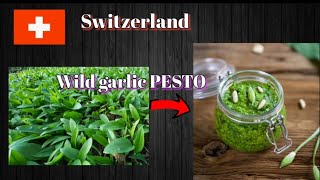 How to prepare wild garlic PESTO  Ail des Ours PESTO homemade easyrecipes pesto [upl. by Burkhardt]