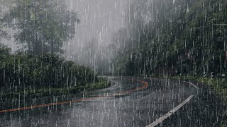 Lluvia Relajante Para Dormir y Descansar Profundamente en 3 minutos 💤 Lluvia en el Bosque Brumoso [upl. by Aibar]