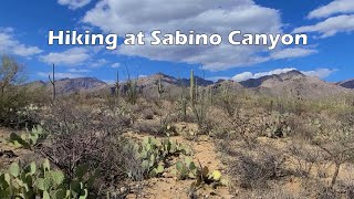 HIKING SABINO CANYON TUCSON ARIZONA  SABINO CANYON RECREATION AREA  CORONADO NATIONAL FOREST [upl. by Llerrit]