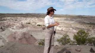 Ischigualasto 2da Estación Valle Pintado HQ HD [upl. by Naujahs]