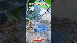 Make a Bird Feeder from a Plastic Bottle craftyideas craft diy diycrafts easycreativecraft [upl. by Adabel62]