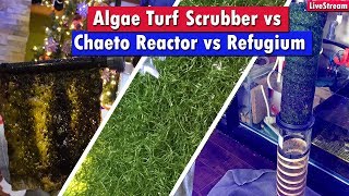 Algae Turf Scrubber Vs Chaeto Reactor Vs Refugium  Which nutrient export system is best for you [upl. by Catherine]