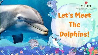 Lets Learn About Dolphins  preschool learning videos sea animals why are dolphins mammals [upl. by Witt1]