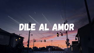 Aventura  DILE AL AMOR LetraLyrics [upl. by Skolnik]