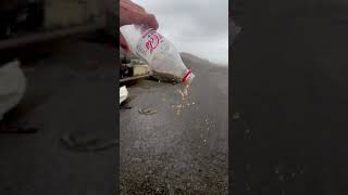 WATCH Man shows power of Typhoon Krathon by pouring soda into heavy wind shorts [upl. by Allemrac]