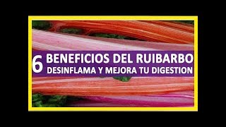 Ruibarbo propiedades beneficios y precauciones con este maravilloso vegetal [upl. by Atnauqal274]