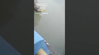 Mancing ikan di bendung cipamingkis mancing youtube fishing shortsviral [upl. by Jemine]