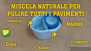 MISCELA NATURALE PER PULIRE TUTTI I PAVIMENTI✅️🔝pavimento cleaning cleaninghacks cleanwithme [upl. by Ecirtahs]