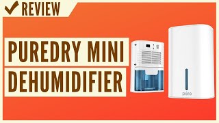 Pure Enrichment PureDry Mini Dehumidifier Review [upl. by Mcwilliams393]