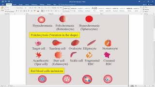 Lab Technician Recruitment training class on Haematology Cell counts [upl. by Motch960]