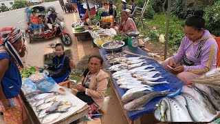 ชาวลาวขายปลาน้ำโขง ตลาดริมทาง แขวงจำปาสัก Local food market Champasak Laos [upl. by Aramoiz]