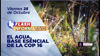 Flash Informativo I El agua base esencial de la COP 16 [upl. by Ayotyal546]