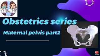 Obstetric series  Maternal pelvis part2 obstetricsandgynaecology bhms medico mbbs [upl. by Enywad880]