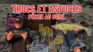 TRUCS et ASTUCES pour la pêche au DORÉ [upl. by Ginevra]