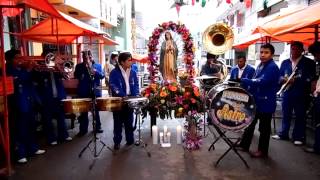 La Guadalupana con la banda Astro [upl. by Yelha]