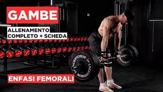 Allenamento completo GAMBE  enfasi femorali [upl. by Edris]