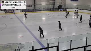 Nepean Wildcats vs Saugeen Maitland  27092024 [upl. by Acirtap]