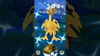 LETS GO ✨ SHINY GALARIAN ZAPDOS in Pokemon GO [upl. by Paulette]