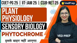 Plant Physiology  Sensory Biology  Phytochrome CUET PGIIT JAMCSIR NET VedPrep Biology Academy [upl. by Zusman]