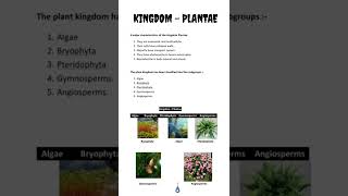 KINGDOM  PLANTAE [upl. by Anairda]