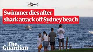 Sydney shark attack search for remains after shark kills swimmer off Little Bay beach [upl. by Ximena]