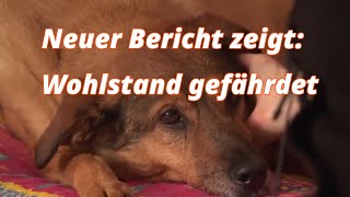 Neuer Bericht zeigt Wohlstand gefährdet [upl. by Llorrac527]